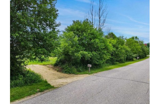 LOT #2 Lake Dr, Lodi, WI 53555