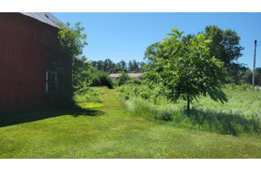 6 AC County Road Z, Arkdale, WI 54613