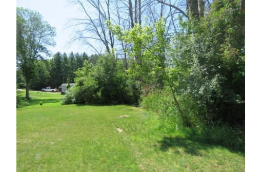 W10698 Hickory Ln, Fox Lake, WI 53933-0000