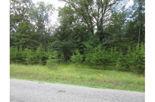 LOT 2 19th Ave, Necedah, WI 54646