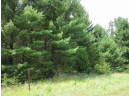 LOT 2 19th Ave, Necedah, WI 54646