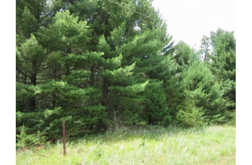 LOT 2 19th Ave, Necedah, WI 54646