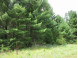 LOT 2 19th Ave Necedah, WI 54646