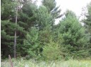 LOT 2 19th Ave, Necedah, WI 54646