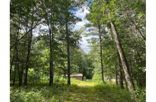 1827 E County Road Z, Arkdale, WI 54613