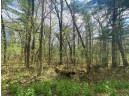 LOT 1-6 S Cree Ln, Arkdale, WI 54613