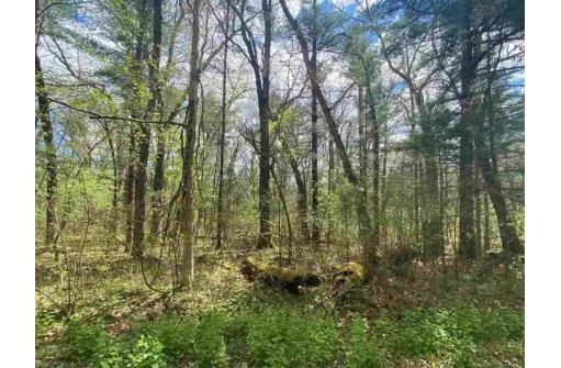 LOT 1-6 S Cree Ln, Arkdale, WI 54613