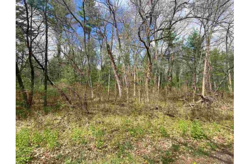 LOT 1-6 S Cree Ln, Arkdale, WI 54613