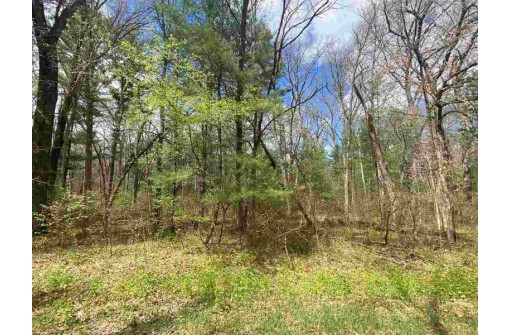 LOT 1-6 S Cree Ln, Arkdale, WI 54613