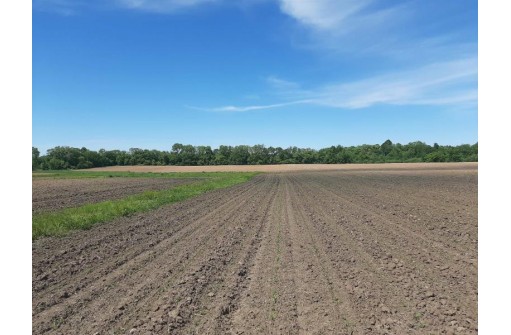 18+/- ACRES Shady Lane Rd, Reedsburg, WI 53959