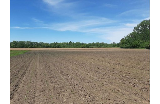 18+/- ACRES Shady Lane Rd, Reedsburg, WI 53959