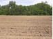 18+/- ACRES Shady Lane Rd Reedsburg, WI 53959