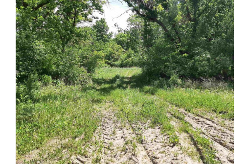 18+/- ACRES Shady Lane Rd, Reedsburg, WI 53959