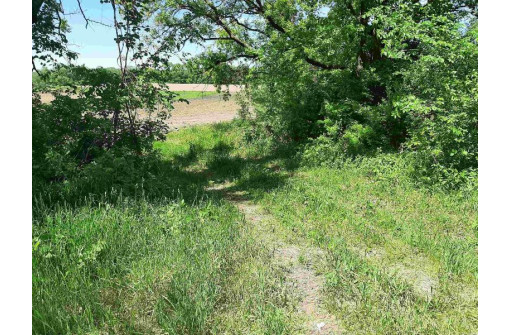 18+/- ACRES Shady Lane Rd, Reedsburg, WI 53959