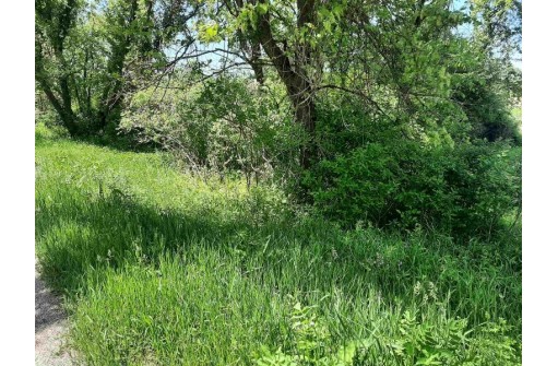 18+/- ACRES Shady Lane Rd, Reedsburg, WI 53959