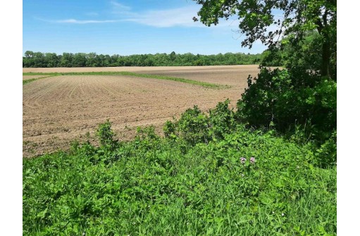 18+/- ACRES Shady Lane Rd, Reedsburg, WI 53959