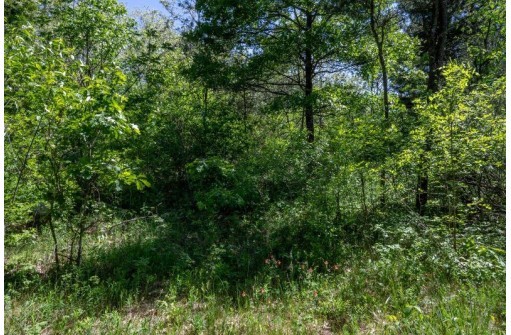 5 AC Hwy 21, Necedah, WI 54646