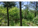 5 AC Hwy 21, Necedah, WI 54646