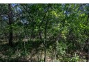 5 AC Hwy 21, Necedah, WI 54646