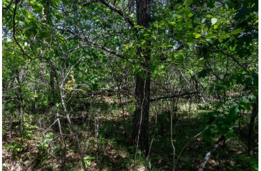 5 AC Hwy 21, Necedah, WI 54646