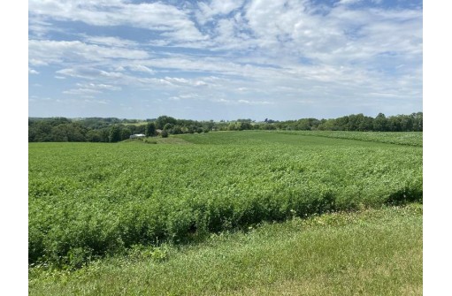 LOT 2 Tomnan Rd, Blue Mounds, WI 53517