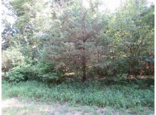 LOT 22 Cypress Dr Friendship, WI 53934