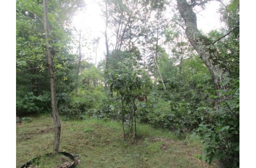 2430 Wilderness Tr, Friendship, WI 53934