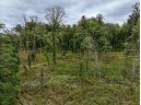 40 ACRES County Road H, Camp Douglas, WI 54618