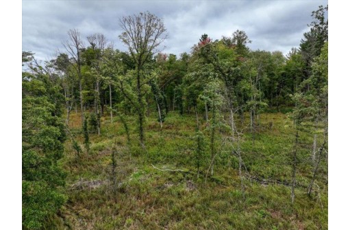 40 ACRES County Road H, Camp Douglas, WI 54618