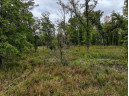 40 ACRES County Road H, Camp Douglas, WI 54618