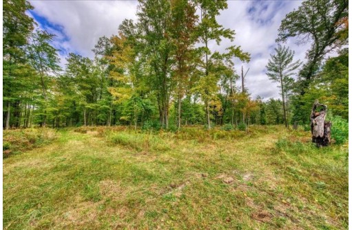 40 ACRES County Road H, Camp Douglas, WI 54618