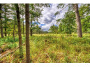 40 ACRES County Road H, Camp Douglas, WI 54618