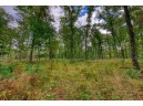 40 ACRES County Road H, Camp Douglas, WI 54618