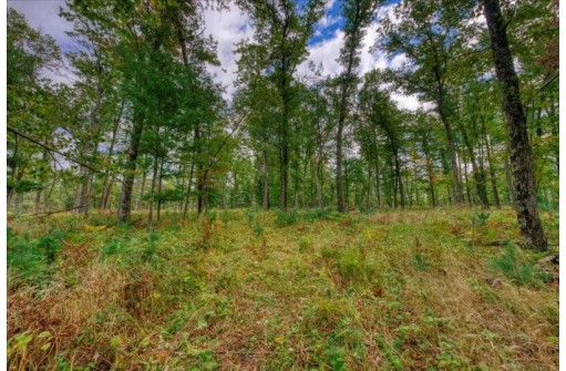 40 ACRES County Road H, Camp Douglas, WI 54618