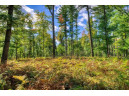 40 ACRES County Road H, Camp Douglas, WI 54618