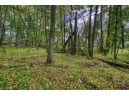 40 ACRES County Road H, Camp Douglas, WI 54618