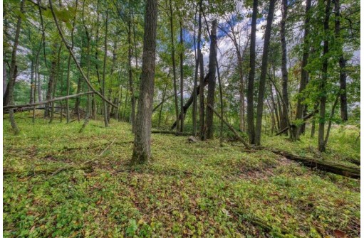 40 ACRES County Road H, Camp Douglas, WI 54618