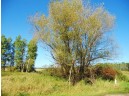 20.13 AC County Road Cm, Tomah, WI 54660