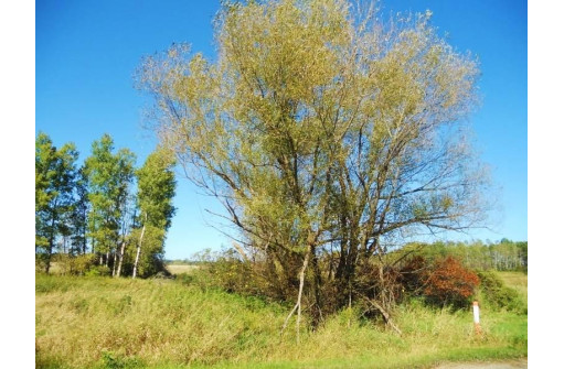 20.13 AC County Road Cm, Tomah, WI 54660