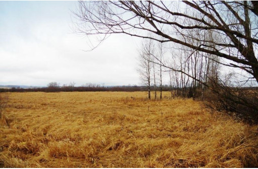 20.13 AC County Road Cm, Tomah, WI 54660