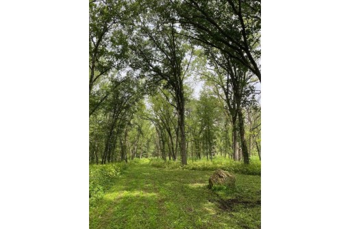 APPROX 146.5 AC County Road C, Spring Green, WI 53588