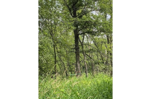 APPROX 146.5 AC County Road C, Spring Green, WI 53588