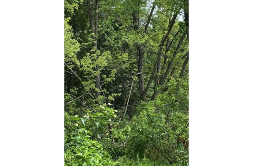 APPROX 146.5 AC County Road C, Spring Green, WI 53588