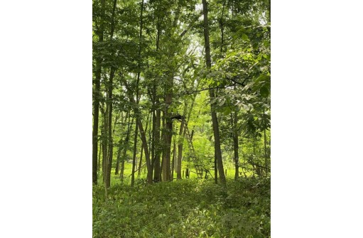 APPROX 146.5 AC County Road C, Spring Green, WI 53588