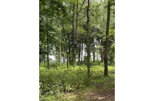 APPROX 146.5 AC County Road C, Spring Green, WI 53588