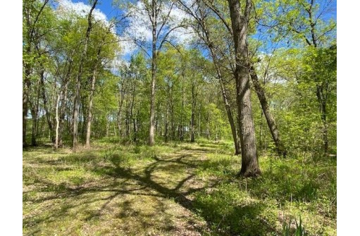 APPROX 146.5 AC County Road C, Spring Green, WI 53588