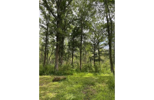 APPROX 146.5 AC County Road C, Spring Green, WI 53588