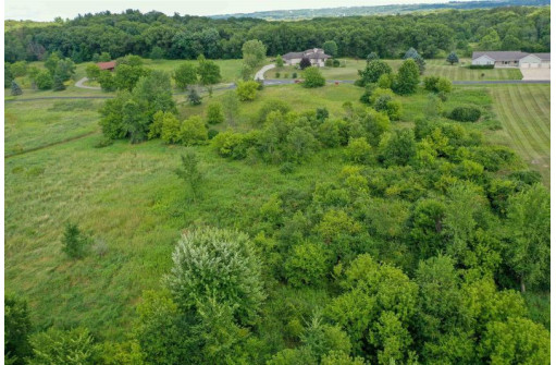 4.28 ACRES Pine Ridge Ct, Belleville, WI 53508