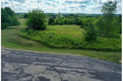 4.28 ACRES Pine Ridge Ct, Belleville, WI 53508