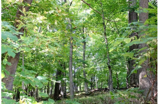 6.51 AC W Dutch Hollow Rd, La Valle, WI 53941